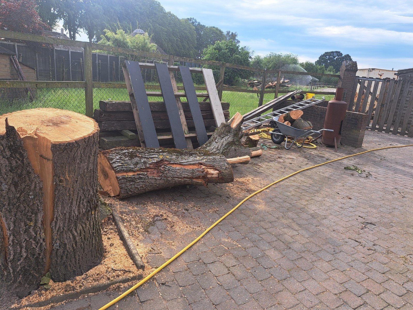 Kachel hout, Tuin en Terras, Haardhout, 3 tot 6 m³, Ophalen, Overige houtsoorten, Stammen
