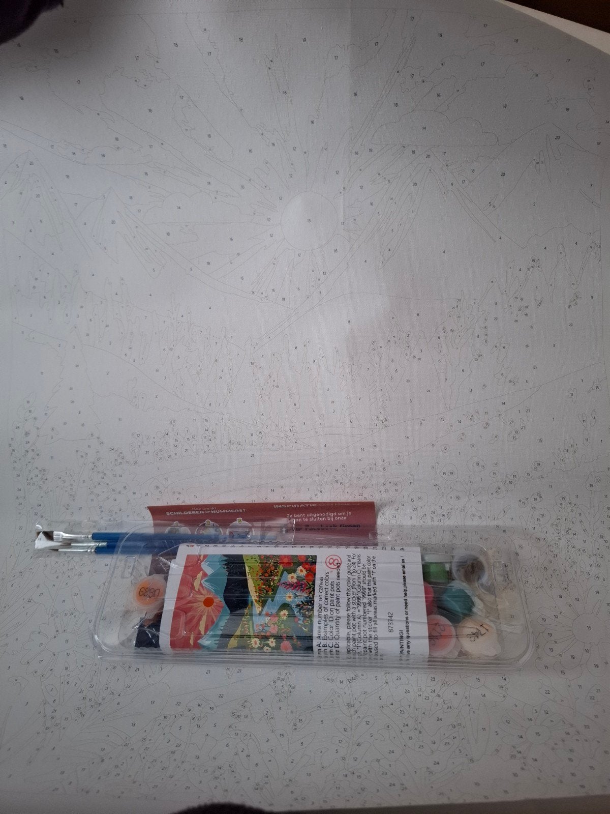 Schilderen op nummer, Hobby en Vrije tijd, Ophalen of Verzenden, Nieuw