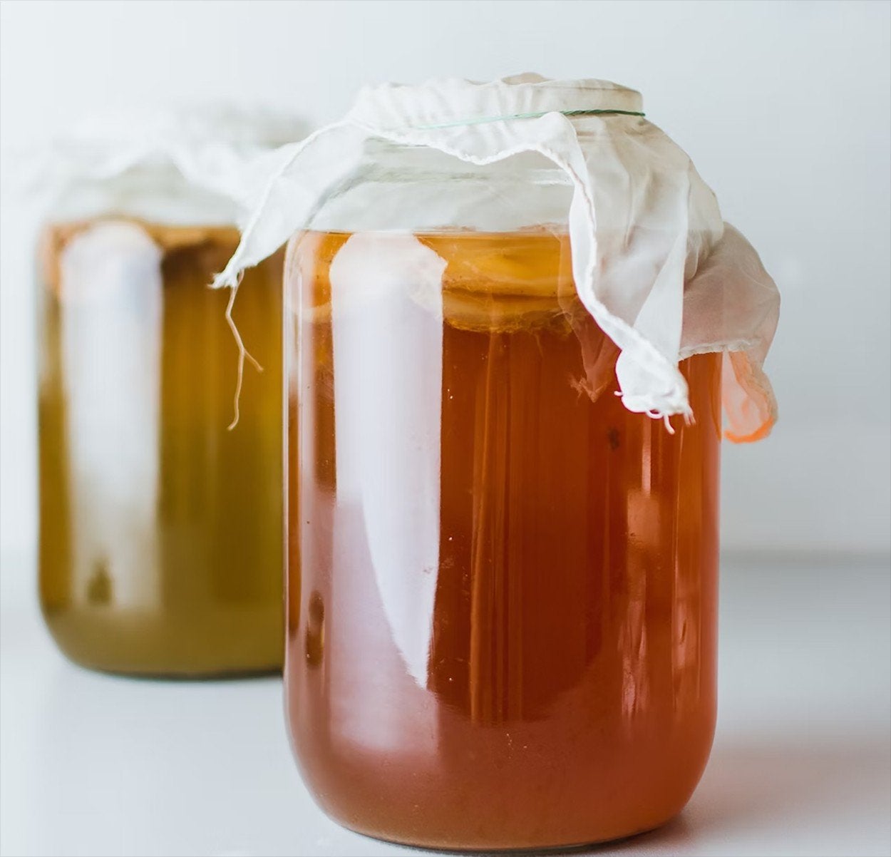 Scoby voor kombucha(ruilen), Ophalen