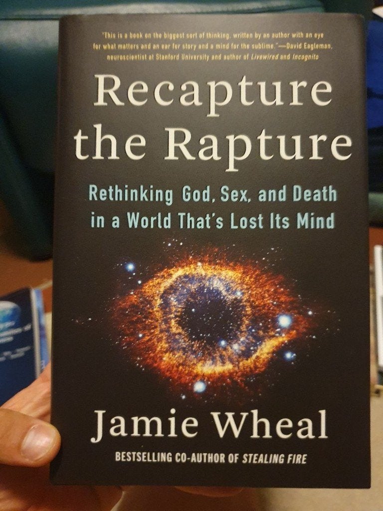 Recapture the Rapture - Jamie Wheal, Boeken, Filosofie, Ophalen of Verzenden, Zo goed als nieuw, Cultuurfilosofie, Jamie Wheal