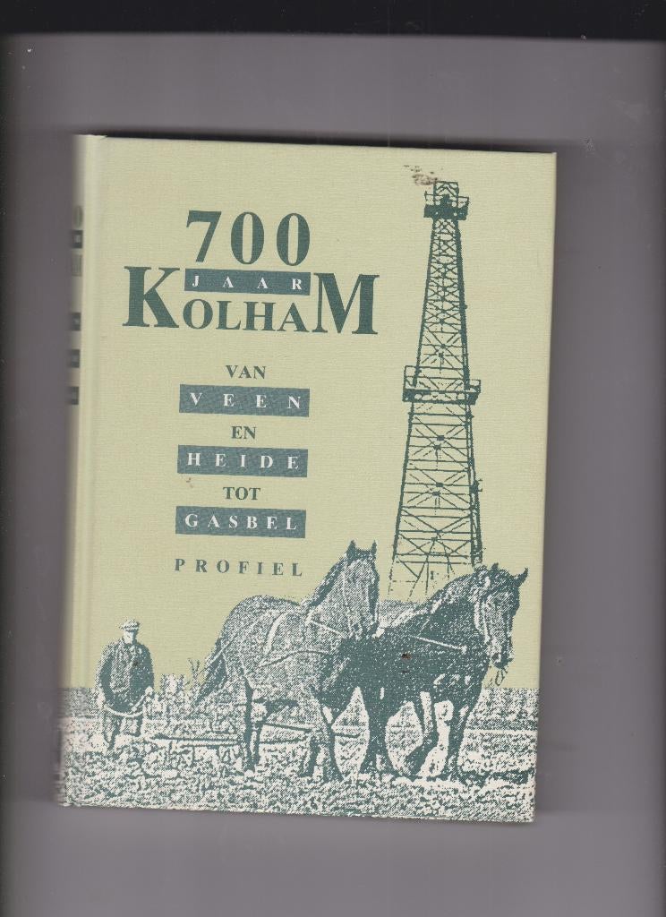 700 jaar Kolham van Veen en Heide tot Gasbel., Boeken, Verzenden