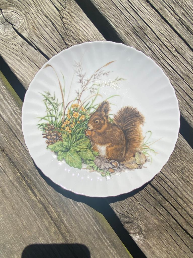 Vintage wit bordje eekhoorn Royal Schwabap Holland, Huis en Inrichting, Keuken | Servies, Ophalen of Verzenden, Zo goed als nieuw