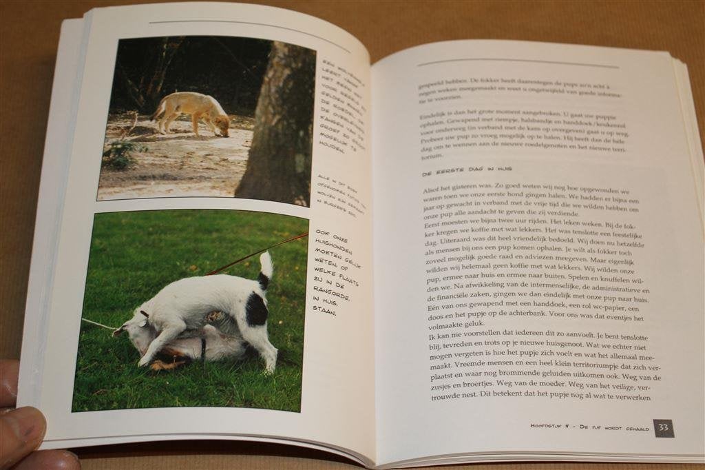 Spelenderwijs opvoeden van uw pup., Ophalen of Verzenden, Gelezen, Honden