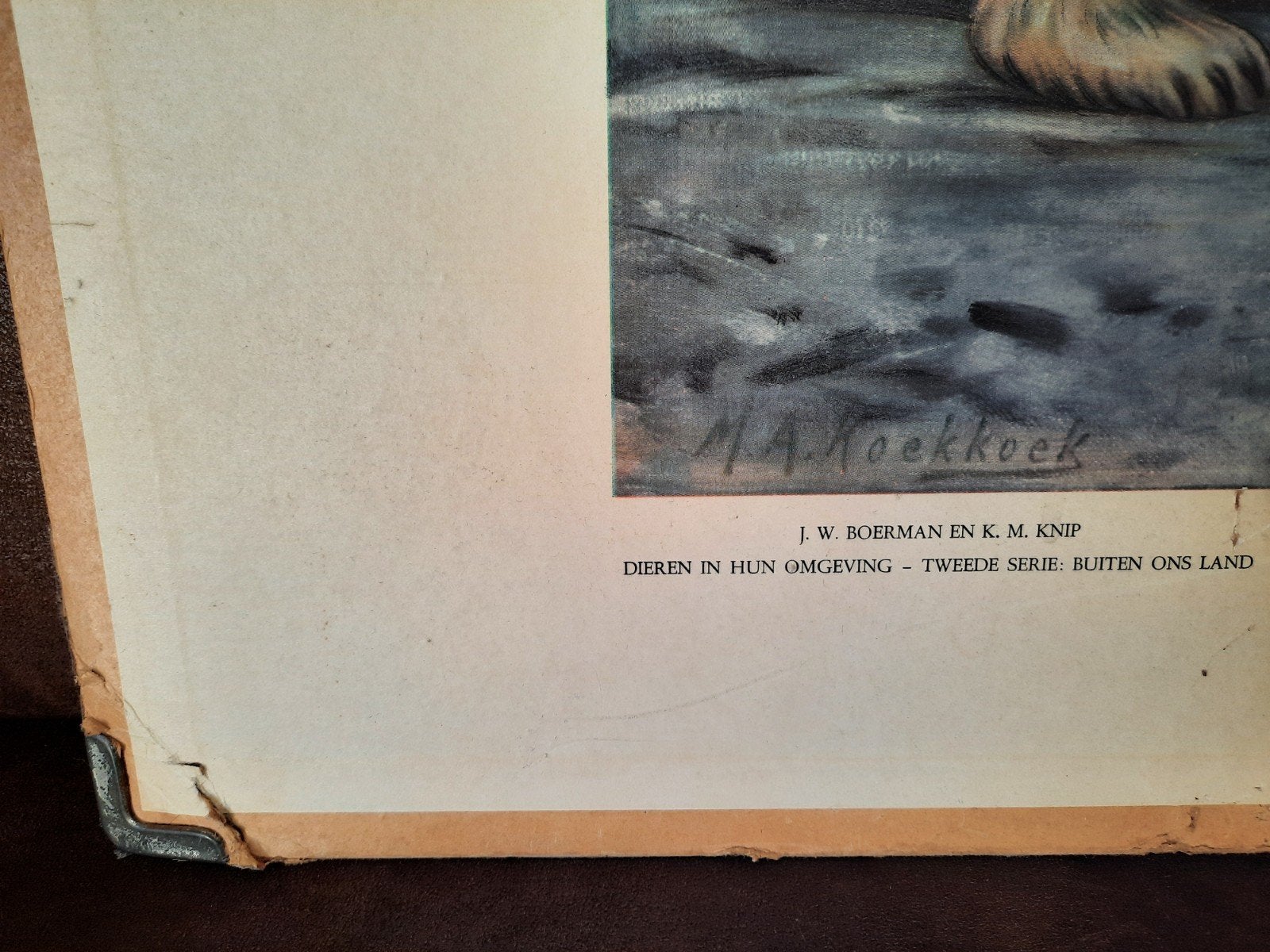 vintage schoolplaat winter, Antiek en Kunst, Ophalen of Verzenden, Natuur en Biologie