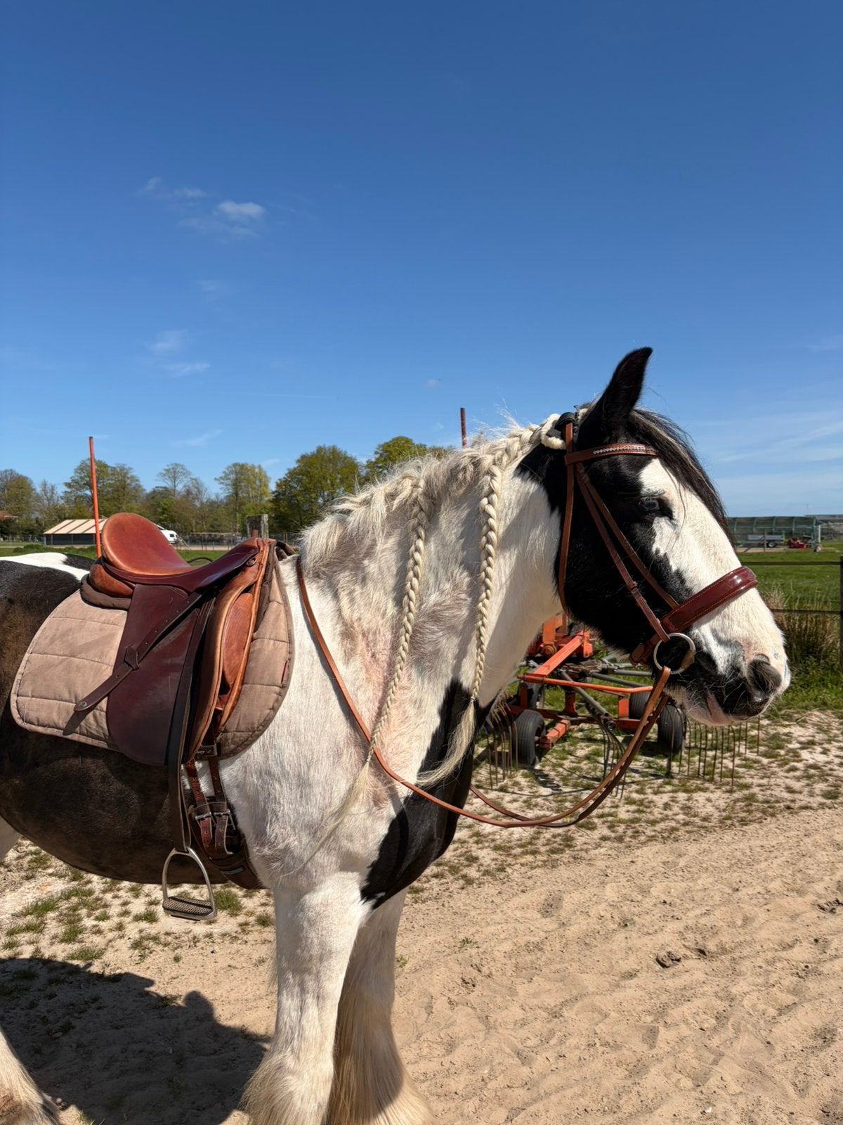 Henri de rivel dressuurzadel 17,5 inch, Dieren en Toebehoren, Paarden en Pony's | Zadels, Ophalen of Verzenden, Zo goed als nieuw