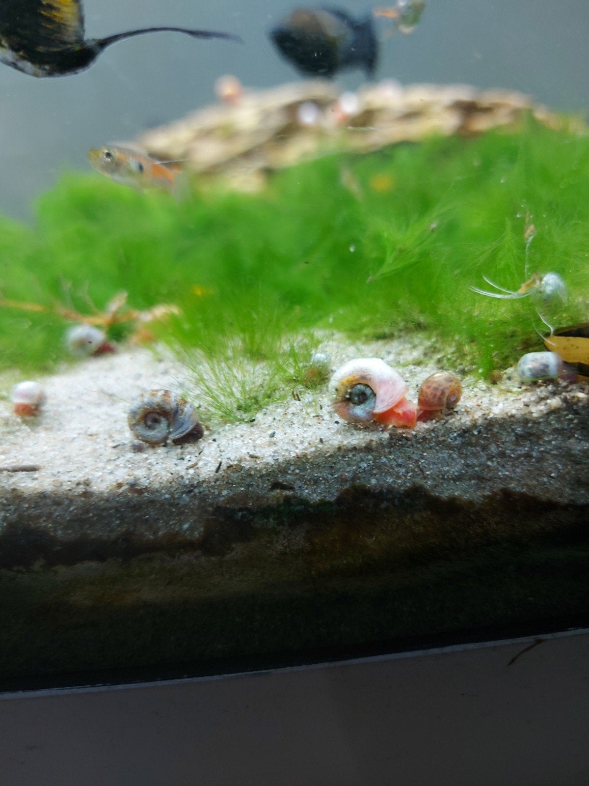 aquarium