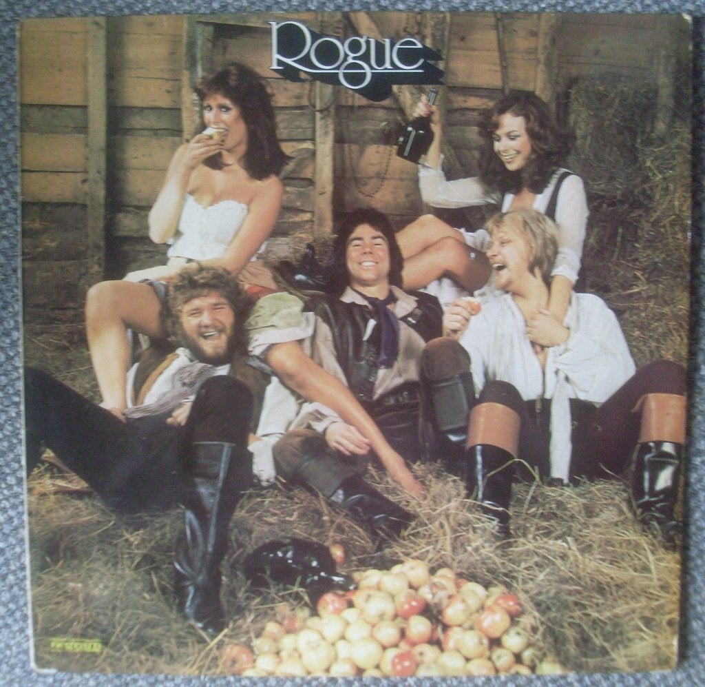 Rogue - Rogue (LP) Guy Fletcher, Cd's en Dvd's, Gebruikt, Inclusief insert, Ophalen of Verzenden, 1970 - 1979