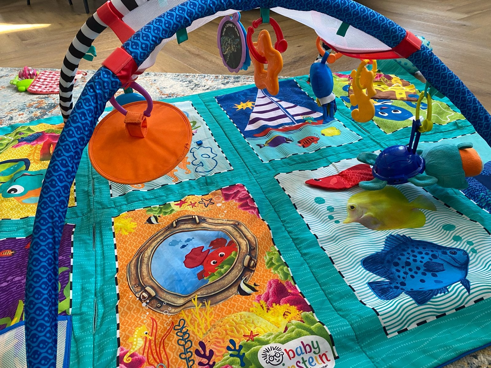 Baby Einstein Speelkleed met speelboog en speeltjes, Ophalen, Zo goed als nieuw, Speelkleed, Met geluid