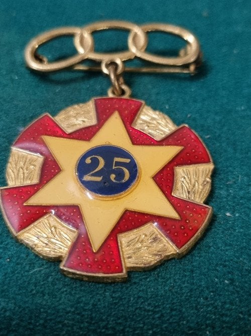 medaille odd fellows 1954, Ophalen of Verzenden