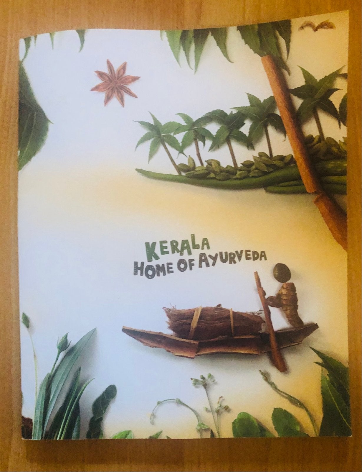 Kerala: Home of Ayurveda - Reisgids/Brochure, Overige merken, Ophalen of Verzenden, Zo goed als nieuw, Reisgids of -boek