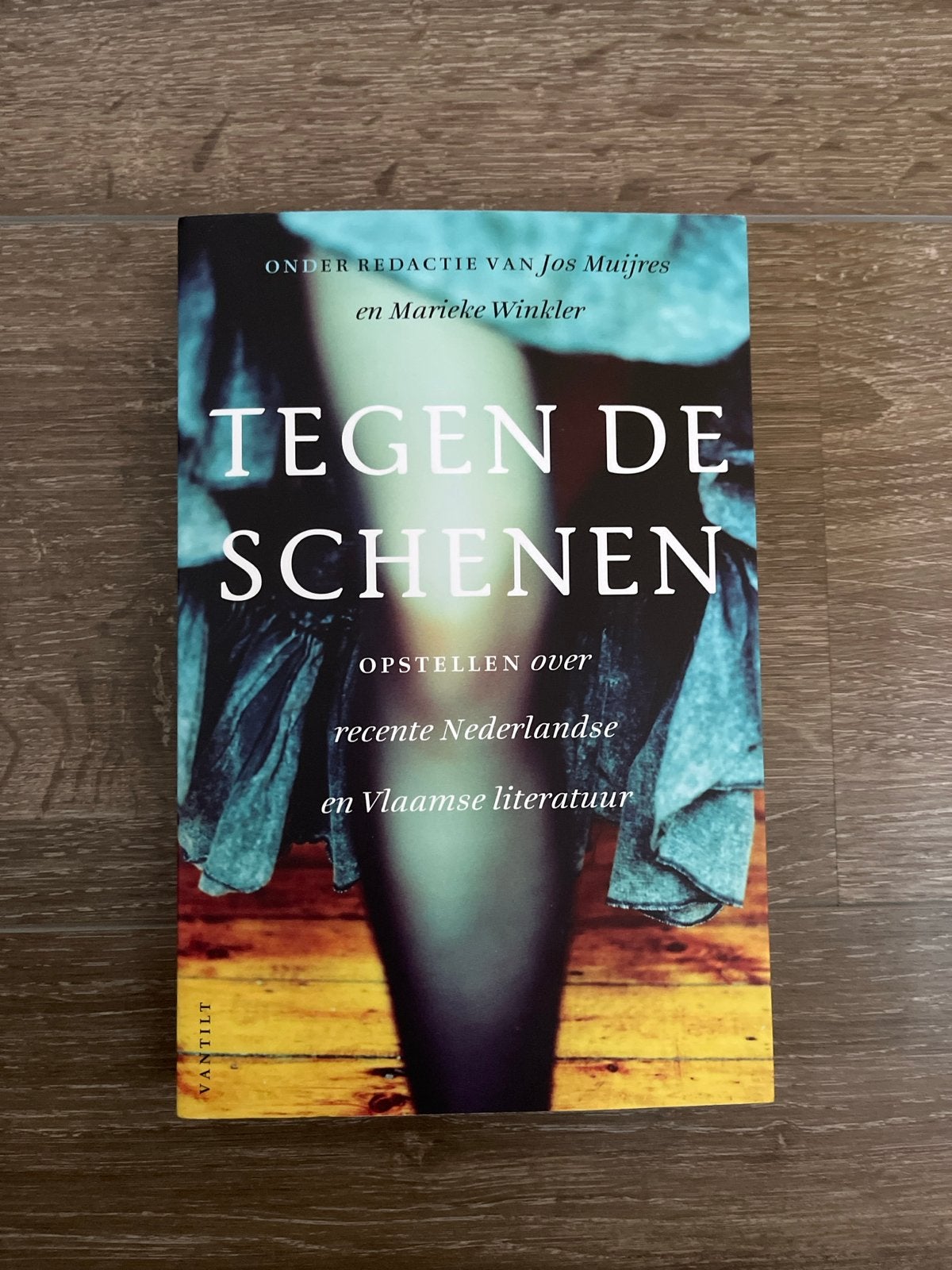 Tegen de Schenen: Opstellen over Nederlandse & Vlaamse liter, Ophalen of Verzenden, Nieuw, Nederland