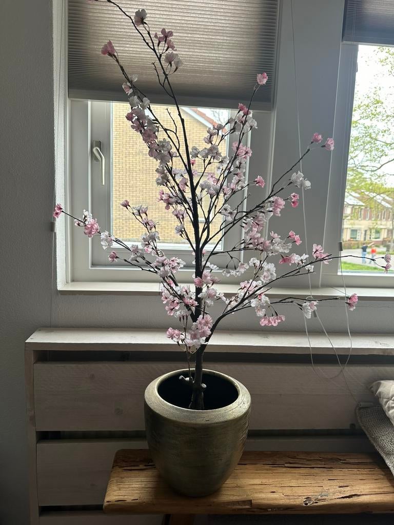 Ikea plant in pot, Ophalen, Zo goed als nieuw