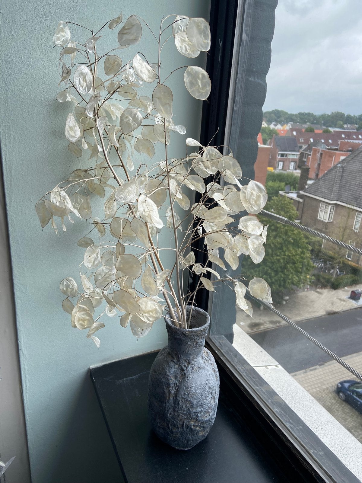 Decoratieve vaas met judaspenning, Ophalen, Binnen, Beige, Kunstbloem