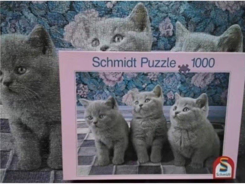 Schmidt puzzel 'drie poesjes in grijs' (Britse korthaar), Ophalen, 500 t/m 1500 stukjes, Zo goed als nieuw, Legpuzzel