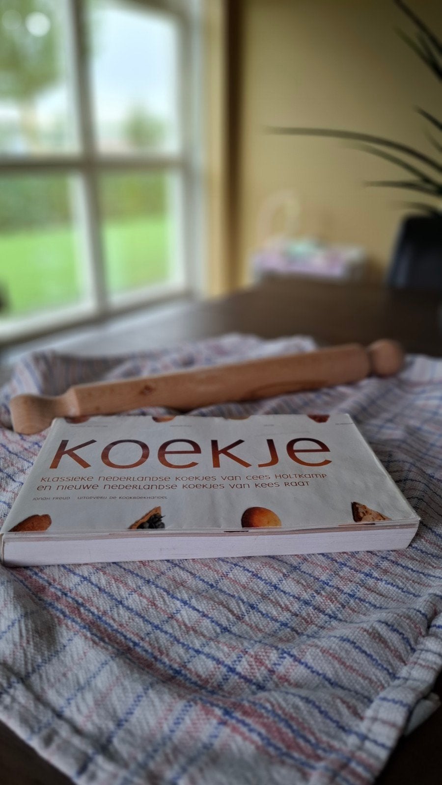 KOEKJE - Zeldzaam boek van Cees Holtkamp en Kees Raat, Boeken, Ophalen of Verzenden