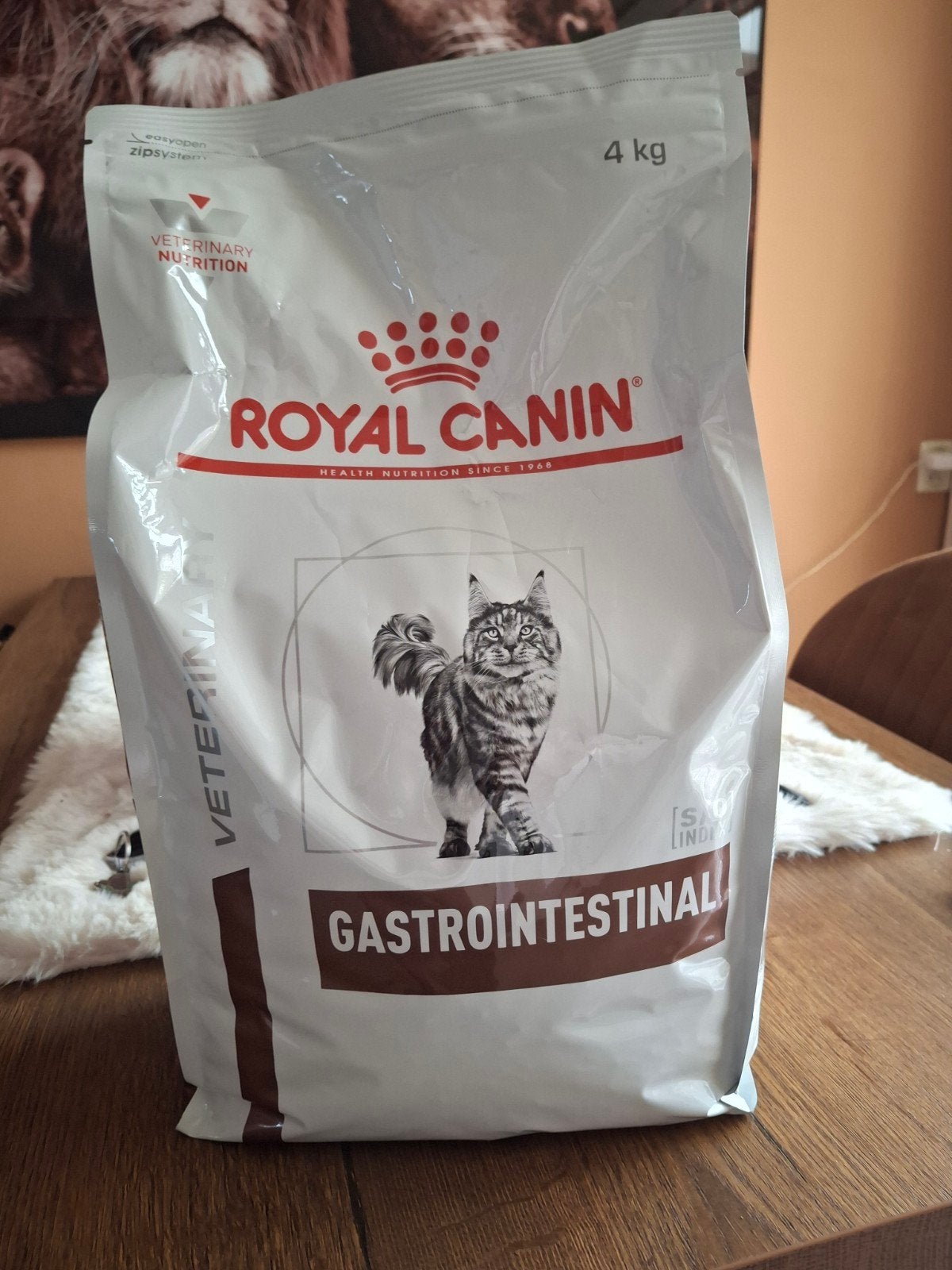 intestenal brokken kat, Ophalen, Kat