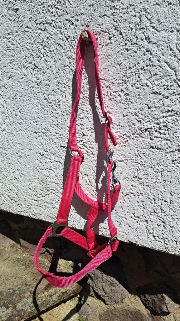 Roze halster inclusief touw maat full, Ophalen of Verzenden