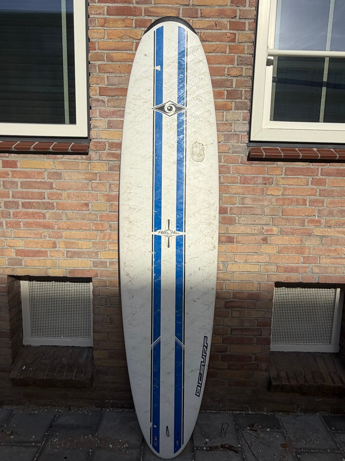 BIC Surf Magnum 8'4" Surfplank