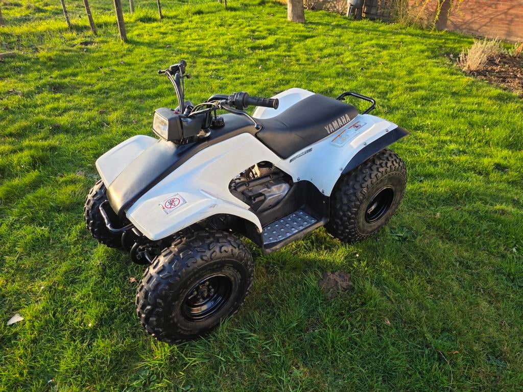 Yamaha Breeze 125cc Quad/ATV Volledig gereviseerd, 125 cc, 11 kW of minder, 1 cilinder