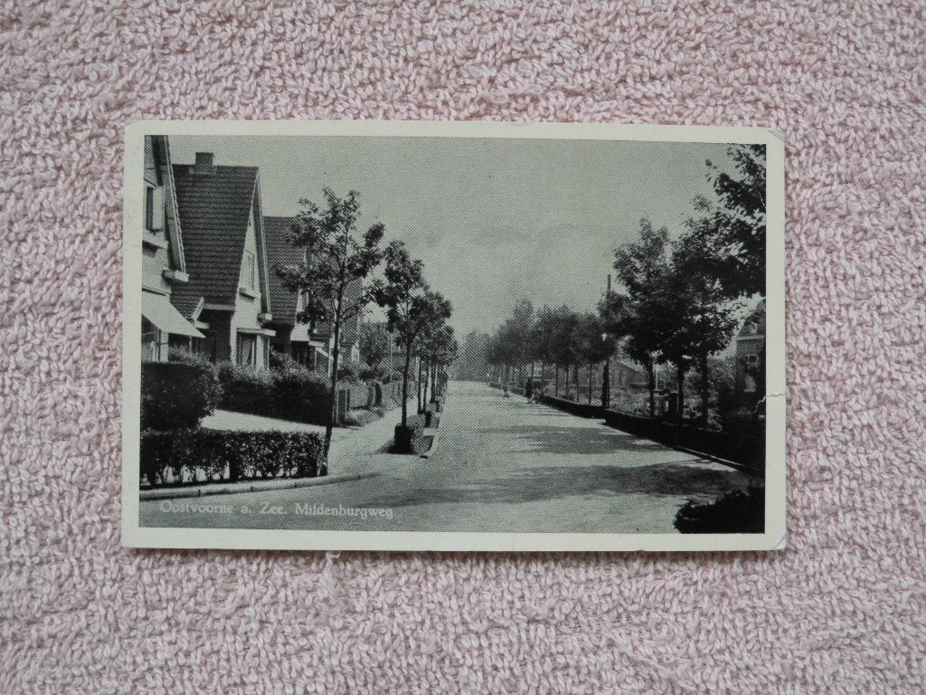 Oostvoorne aan Zee , Mildenburgweg., Ophalen of Verzenden, Voor 1920, Gelopen, Zuid-Holland
