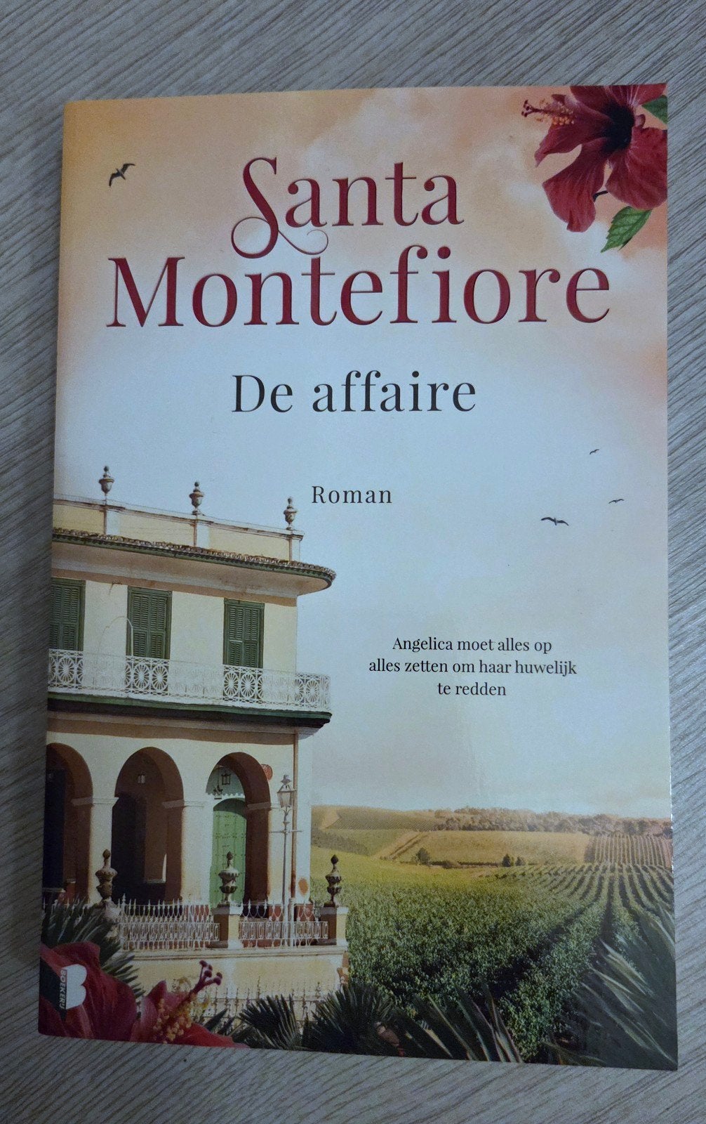 Santa Montefiore  - De affaire, Boeken, Romans, Ophalen of Verzenden, Zo goed als nieuw, Santa Montefiore