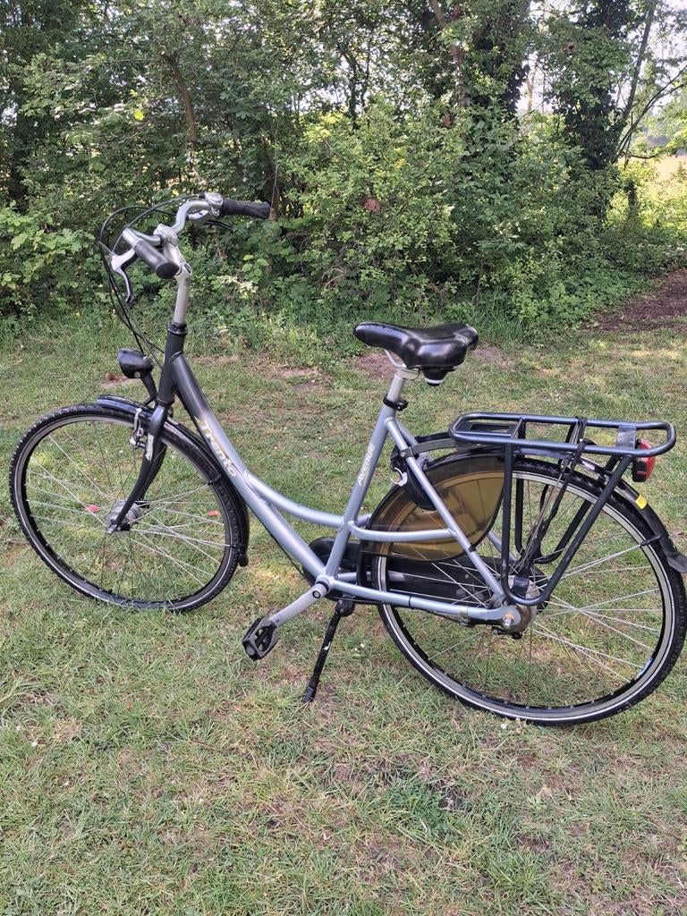Damesfiets Trento met lage instap en versnellingen, Gebruikt, Velgrem, Versnellingen, 50 tot 53 cm