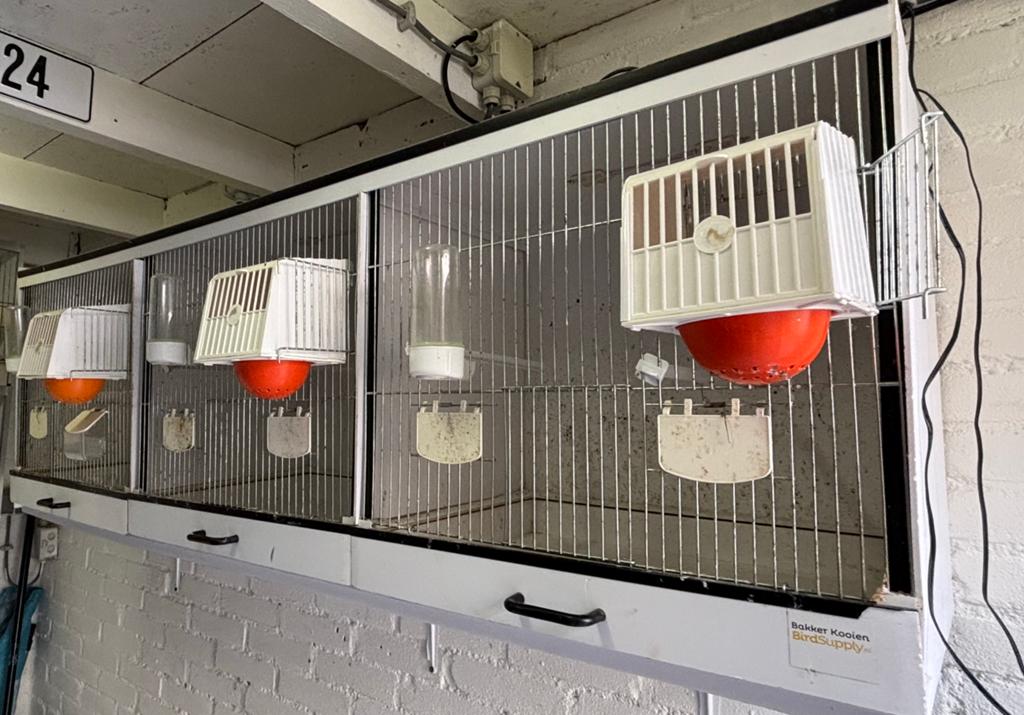 Bakker kooien met verlichting en tussenschotten, Dieren en Toebehoren, Vogels | Hokken en Kooien, Ophalen, Gebruikt, Overige materialen