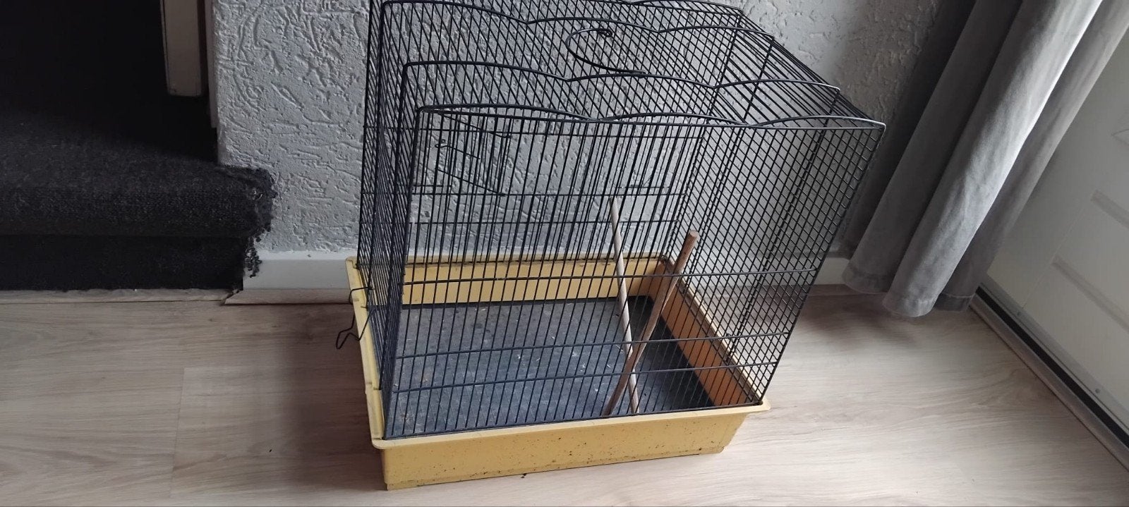 Vogelkooi, Mannelijk, Parkiet