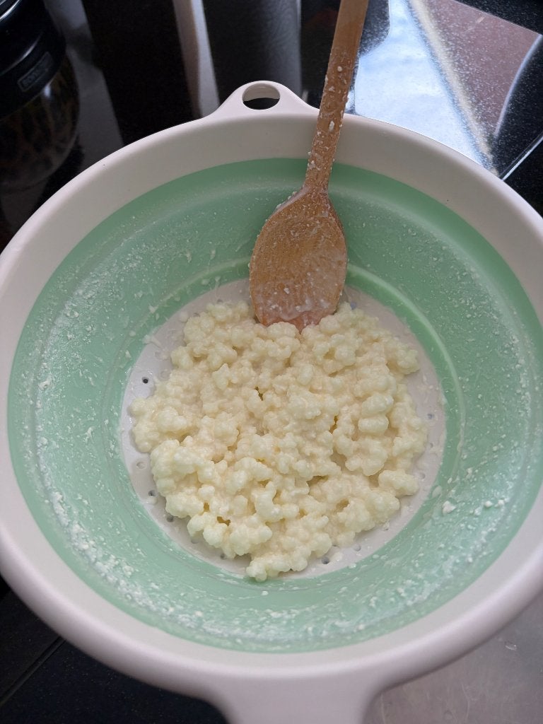 Melk kefir korrels, Ophalen
