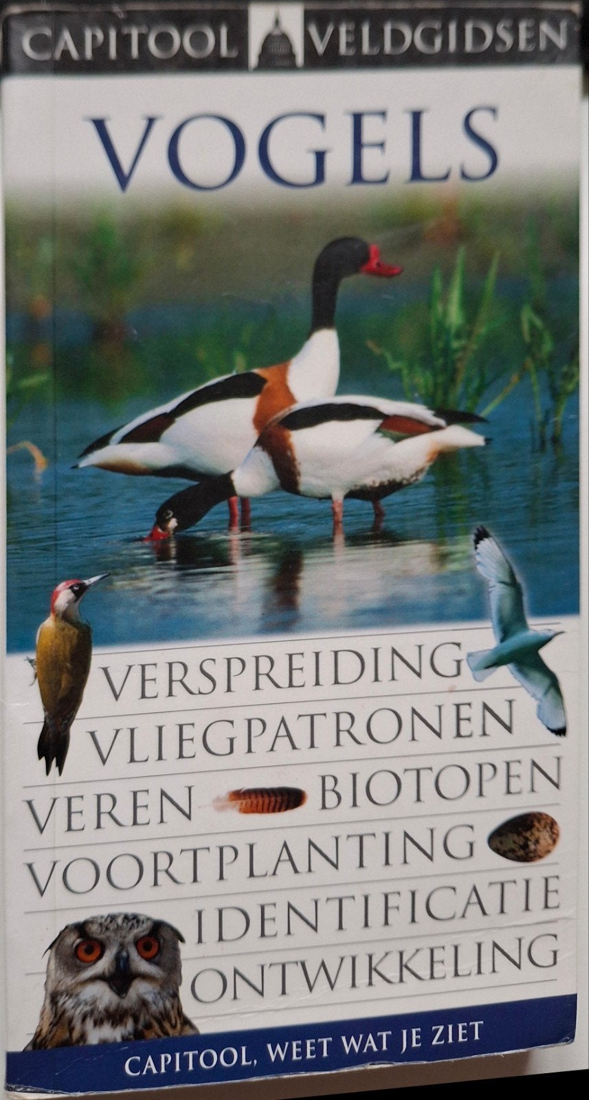Capitool veldgids: Vogels, Meerdere dieren
