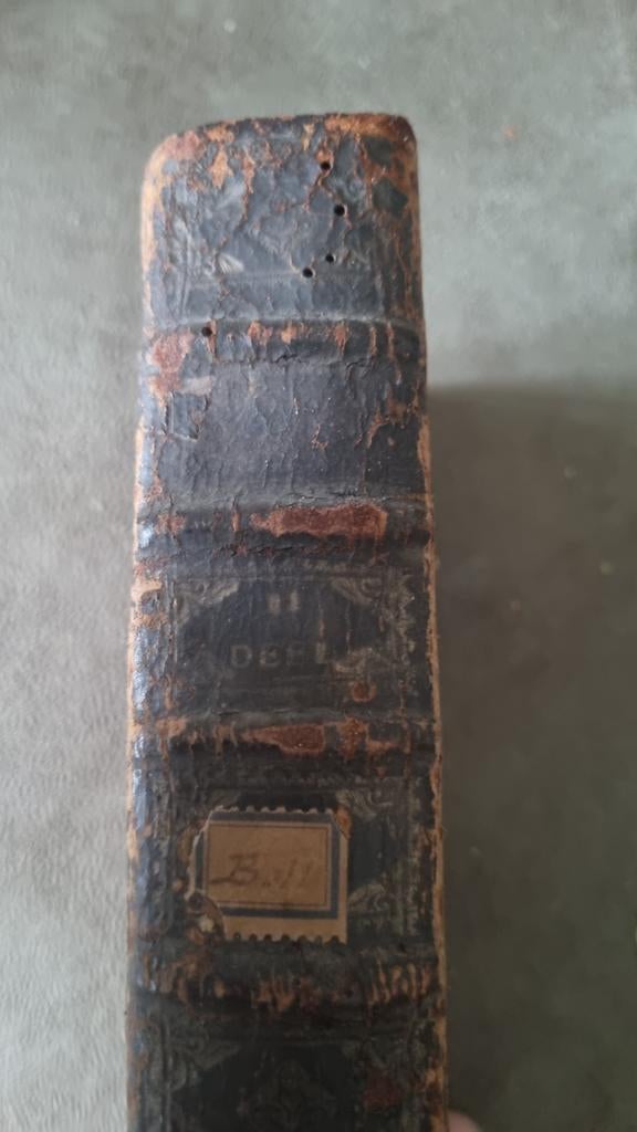 Zeldzaam Boek: Sermoenen van Rumoldus Backx (1713), Ophalen of Verzenden, Rumoldus Backx