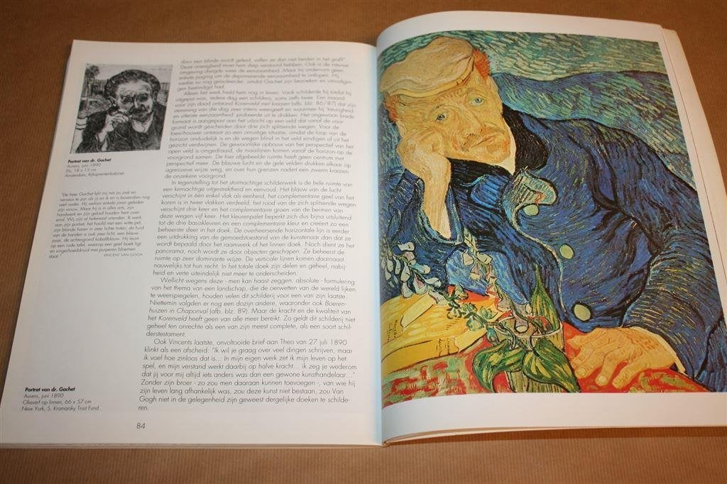 Vincent van Gogh - Visie en werkelijkheid, Ophalen of Verzenden, Gelezen