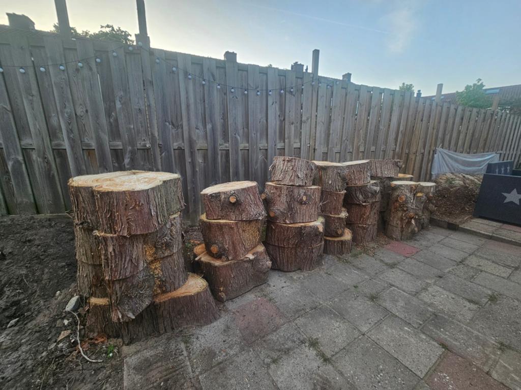 Grote partij boomstammen voor brandhout of decoratie, 6 m³ of meer, Ophalen, Overige houtsoorten, Stammen