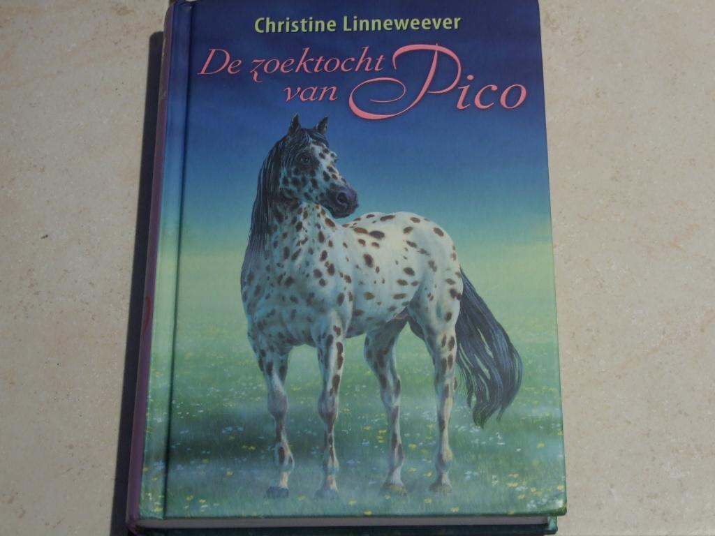 Gouden Paarden De zoektocht van Pico / Christine Linneweever, Boeken, Ophalen of Verzenden, Zo goed als nieuw, Fictie algemeen