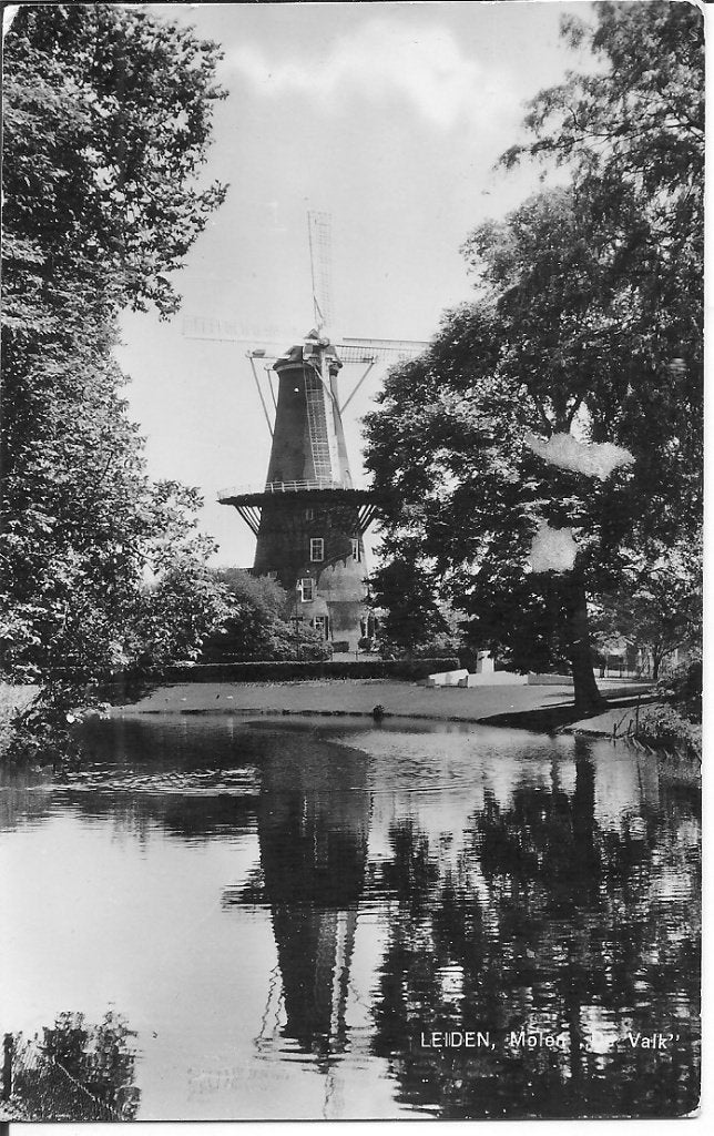 Oude ansichtkaart Molen de Valk, Leiden, Ophalen of Verzenden, 1960 tot 1980, Ongelopen, Zuid-Holland