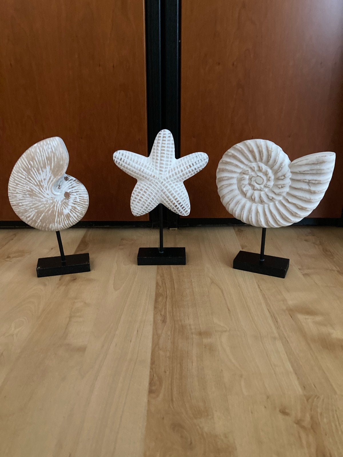 Decoratieve schelpen en zeester op standaard, Huis en Inrichting, Overige materialen, Ophalen of Verzenden, Wit, Landelijk