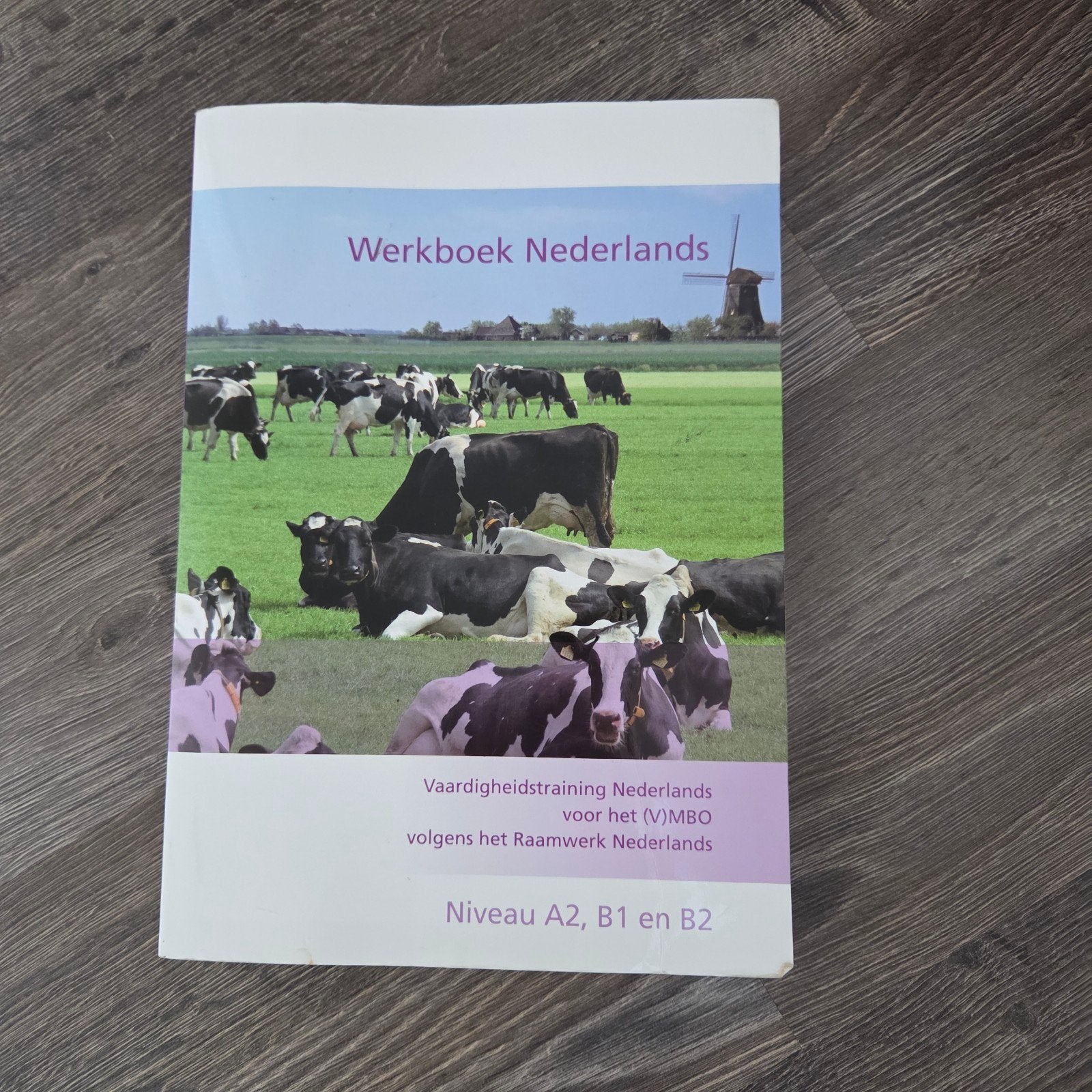 Werkboek Nederlands A2, B1 en B2 - Vaardigheidstraining, Boeken, Non-fictie, Nederlands, Ophalen of Verzenden, Zo goed als nieuw