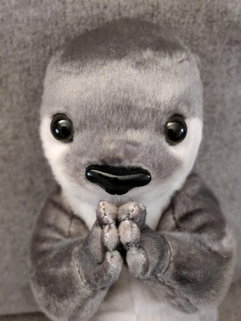 Knuffel pluche otter realistische maat, Ophalen of Verzenden, Overige typen