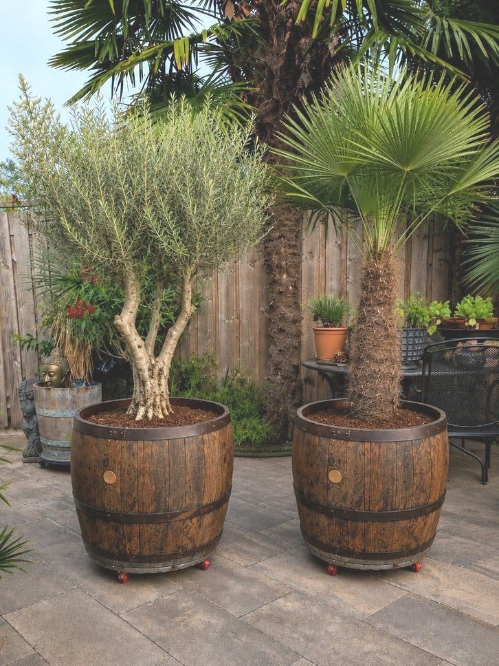 Wijnvat plantenbak  3/4 vat met  wielen beschikbaar, Tuin en Terras, Bloembakken en Plantenbakken, Ophalen, Rond, Nieuw, 60 tot 100 cm
