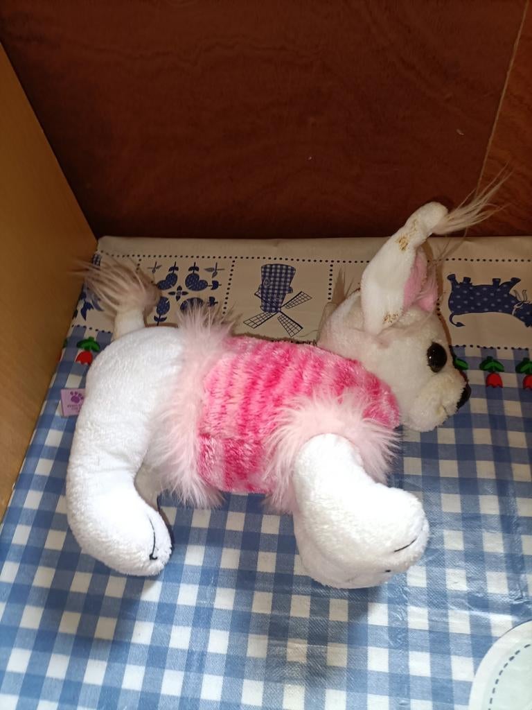 Chihuahua knuffel met kerst pakje 21 cm x 20 cm, Ophalen of Verzenden, Zo goed als nieuw, Overige typen