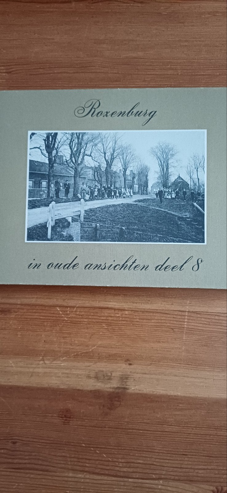 Rozenburg in Oude Ansichten Deel 8 - Historisch Boek, Ophalen, 20e eeuw of later, Zo goed als nieuw, J. Bergwerff