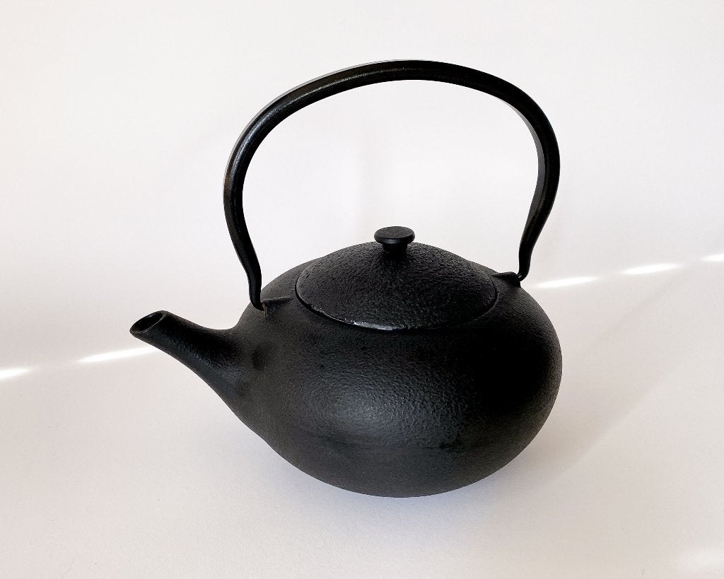 Bredemeijer Shanxi teapot: Cast Iron | Gietijzeren theepot, Overige merken, Ophalen of Verzenden, Zo goed als nieuw, Theepot