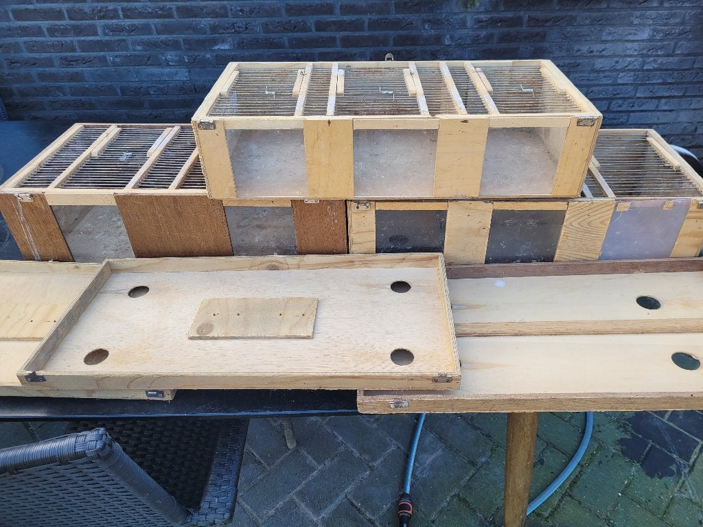 # vervoer bakken, Dieren en Toebehoren, Meerdere dieren, Papegaai