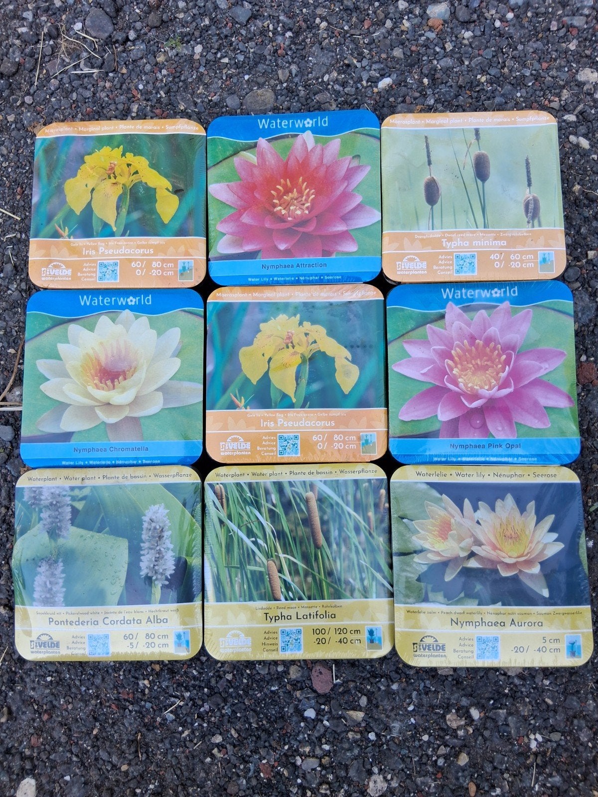 Vijverplanten pakketen, Ophalen, Nieuw