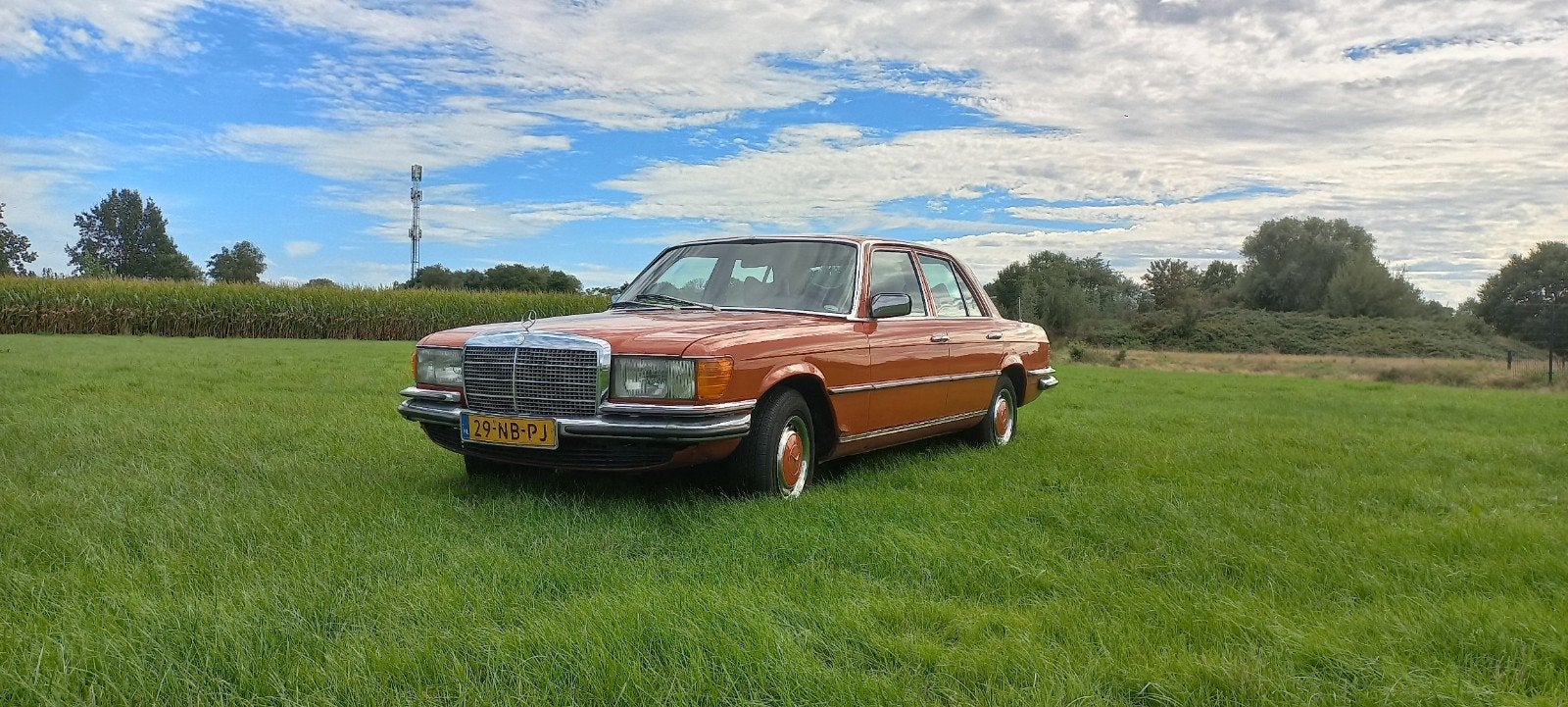 Mercedes-Benz Mercedes 1978, Auto's, Mercedes-Benz, Automaat, Achterwielaandrijving, Overige kleuren, 1200 kg