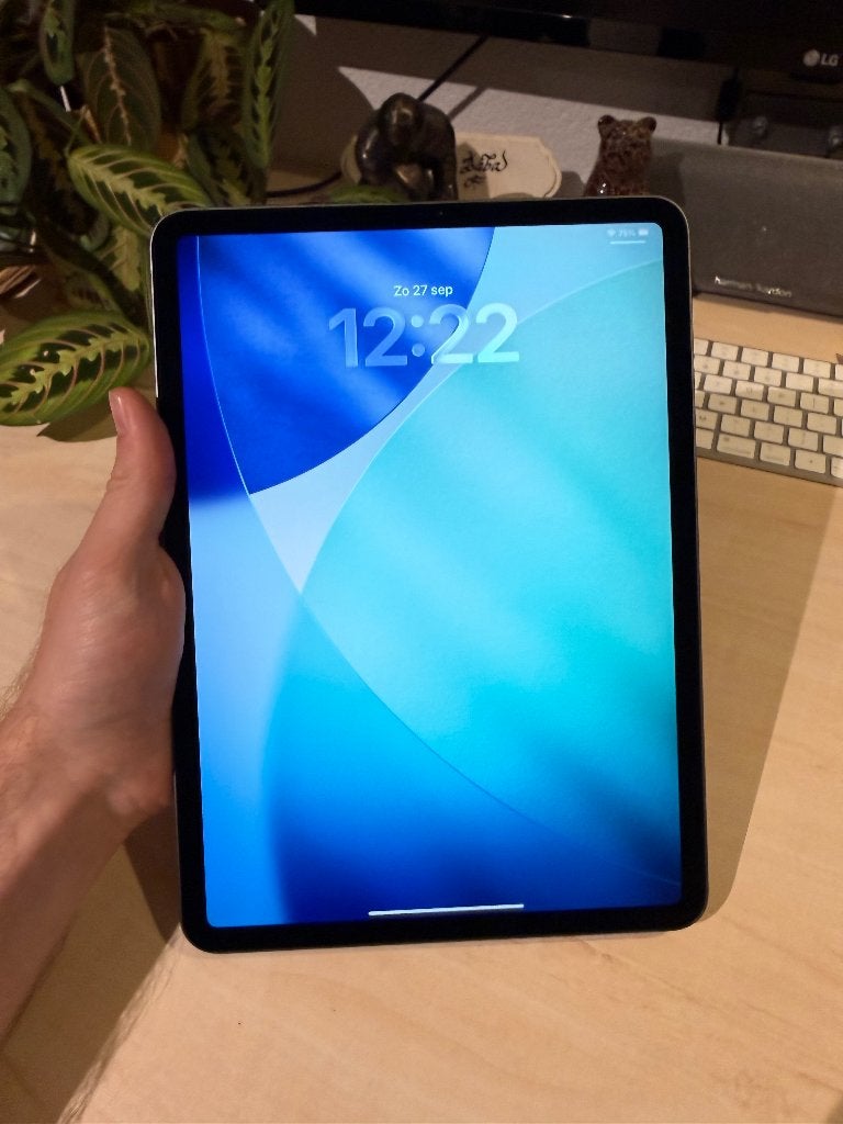 IPad Pro 11 inch - 2020 - 2e generatie - 128GB