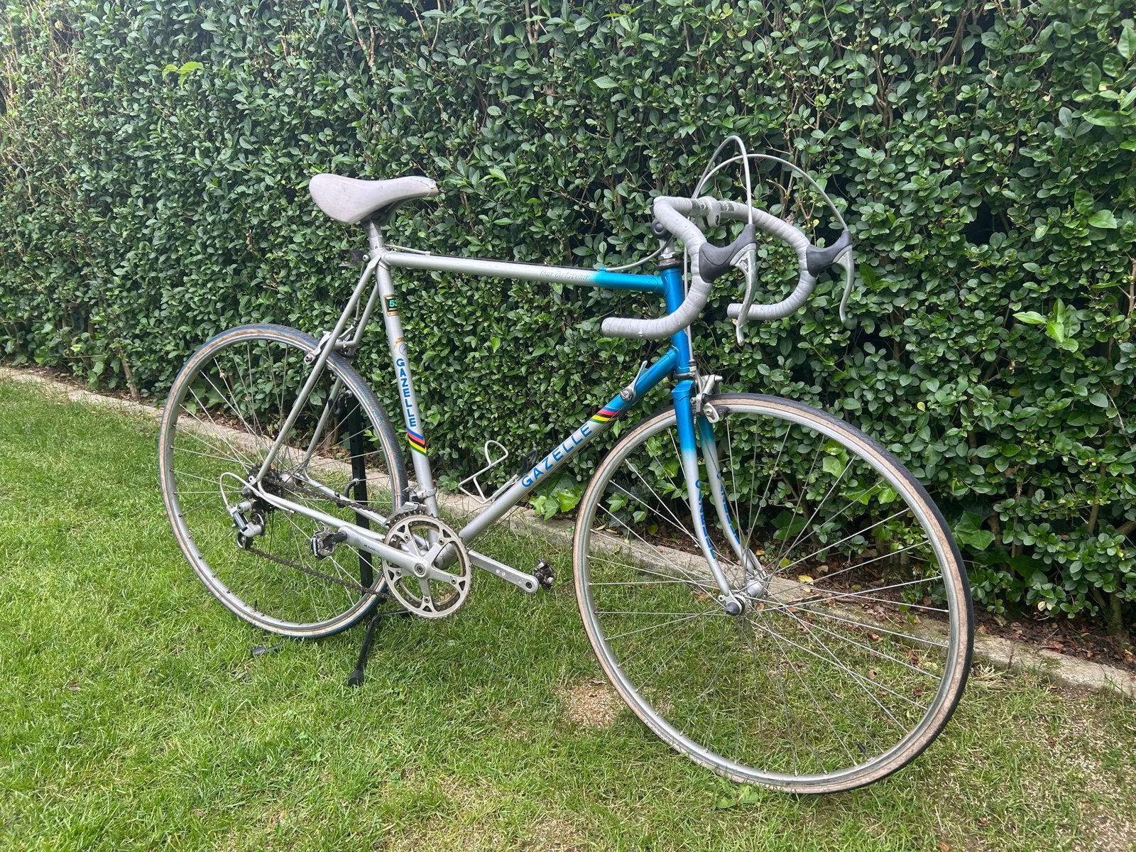 Gazelle Tour de l'Avenir. Race Fiets, Ophalen, Velgrem, Zo goed als nieuw, Gazelle