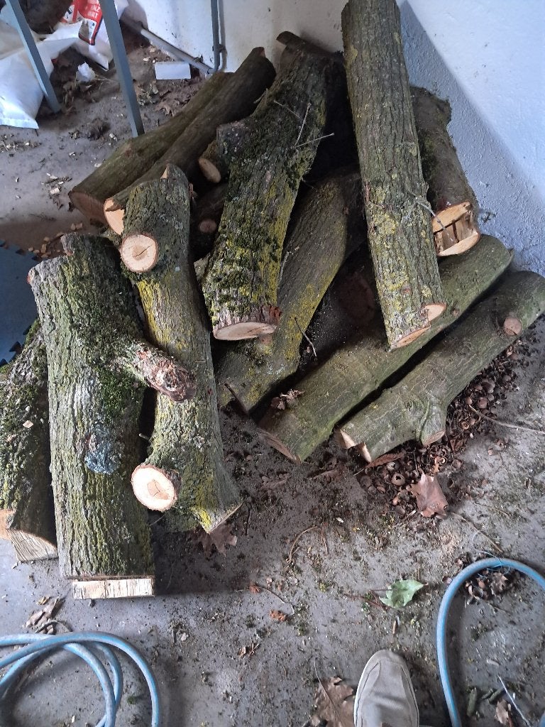 Haardhout partij, Eikenhout, Minder dan 3 m³, Ophalen, Eikenhout, Stammen