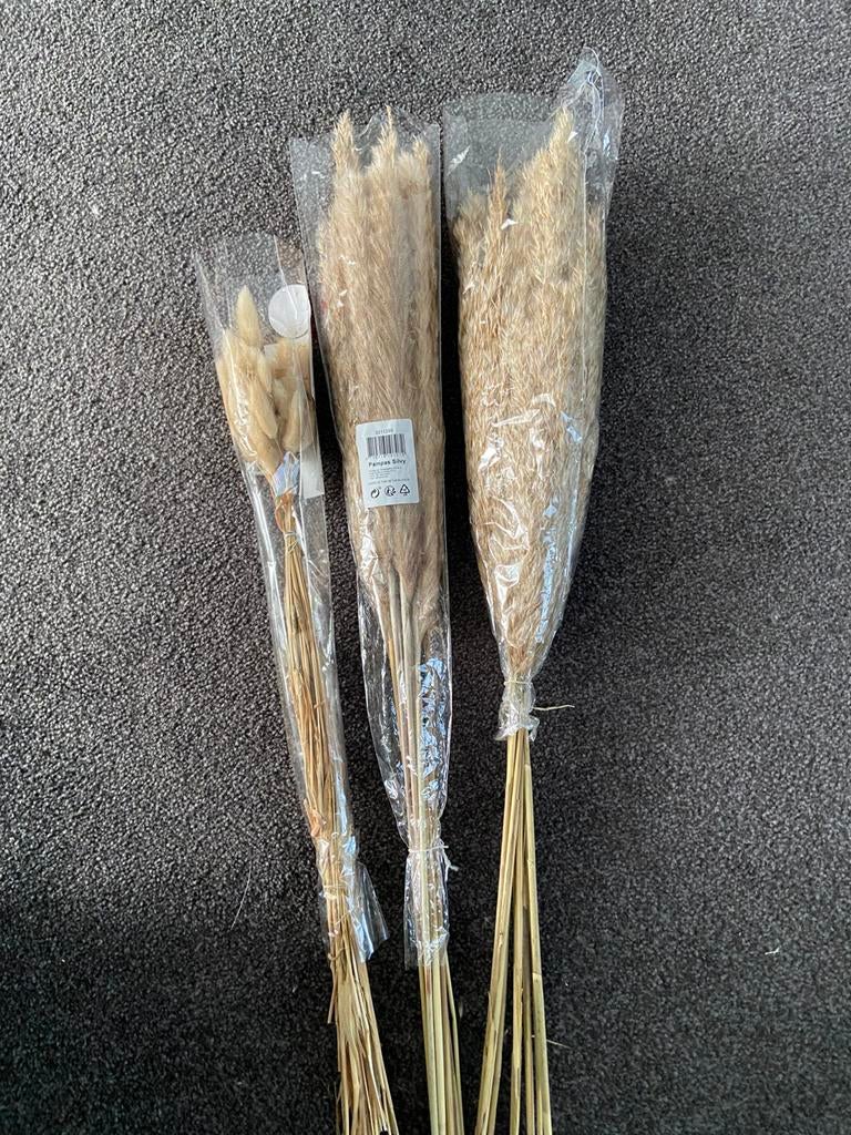 Droogbloemen en 2 setjes pampas pluimen, Ophalen, Zo goed als nieuw