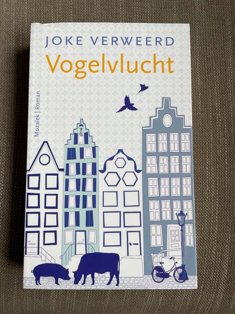 Joke Verweerd - Vogelvlucht, Ophalen of Verzenden, Zo goed als nieuw, Joke Verweerd